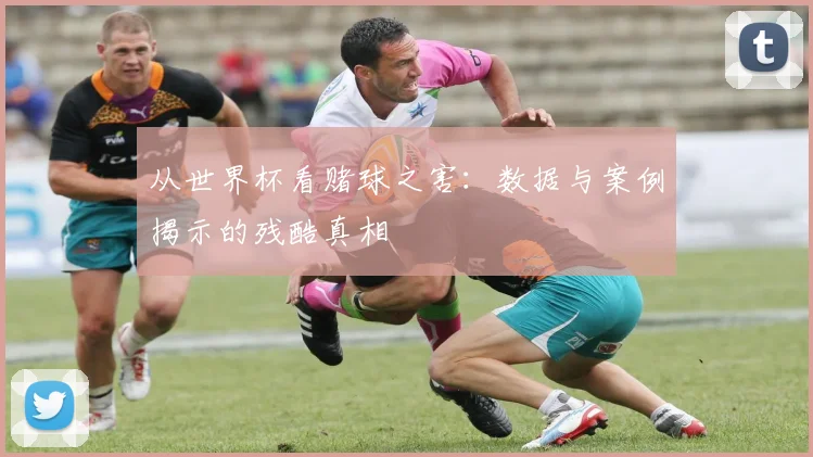 从世界杯看赌球之害：数据与案例揭示的残酷真相