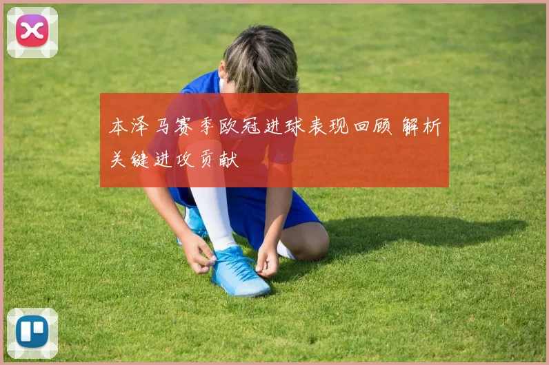 本泽马赛季欧冠进球表现回顾 解析关键进攻贡献