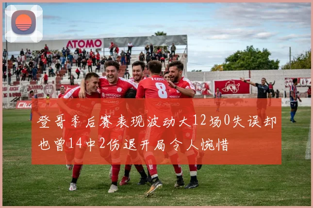 登哥季后赛表现波动大12场0失误却也曾14中2伤退开局令人惋惜